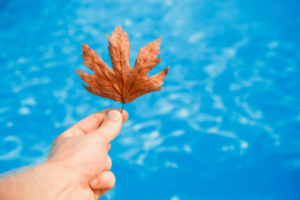Extend the Pool Season Tips for Enjoying Your Pool Beyond Summer